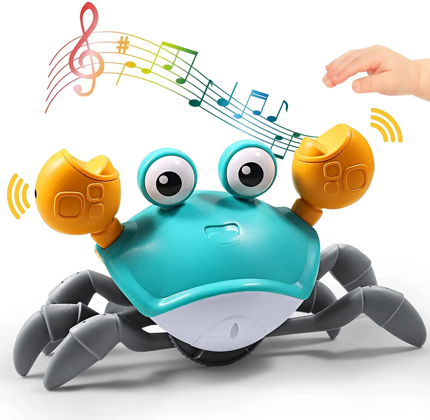 Crab Racer – Encourages Your Child to Crawl – Interactive Toy